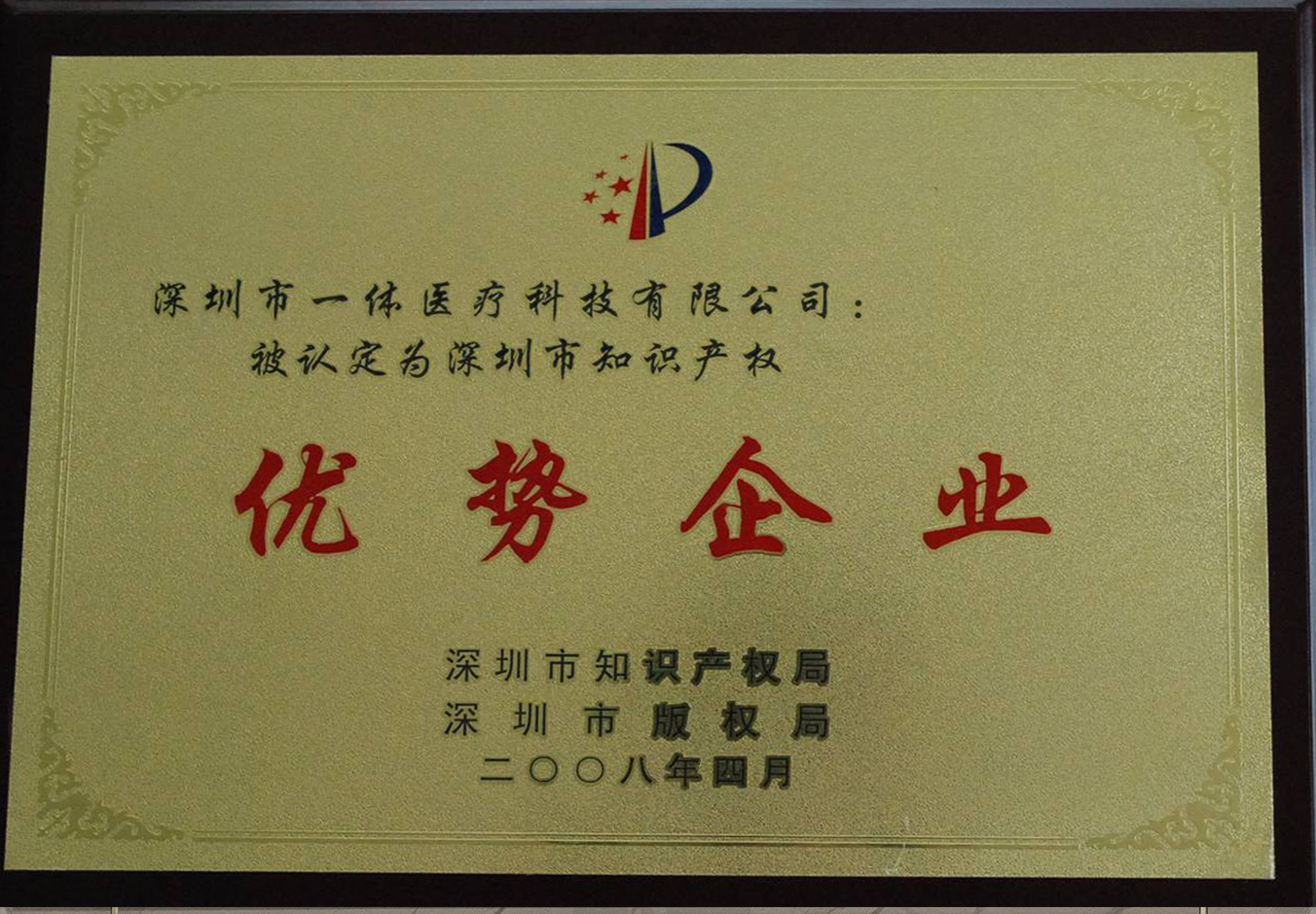 丽江市知识产权优势企业